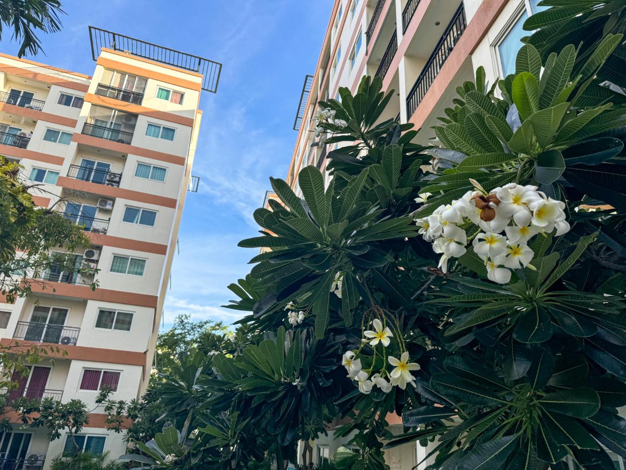 卧室直达泳池 全网最低价 到中天海滩5分钟 Jomtien Beach Εξωτερικό φωτογραφία